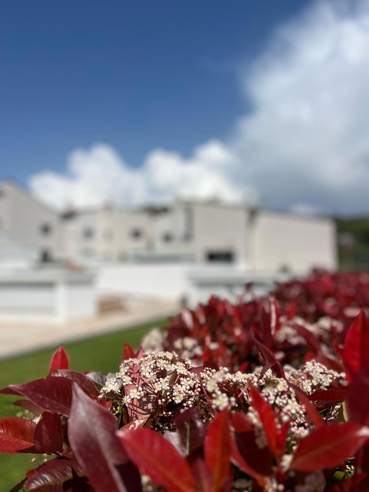 The Florence Hills Resort & Wellness Pelago Exterior foto